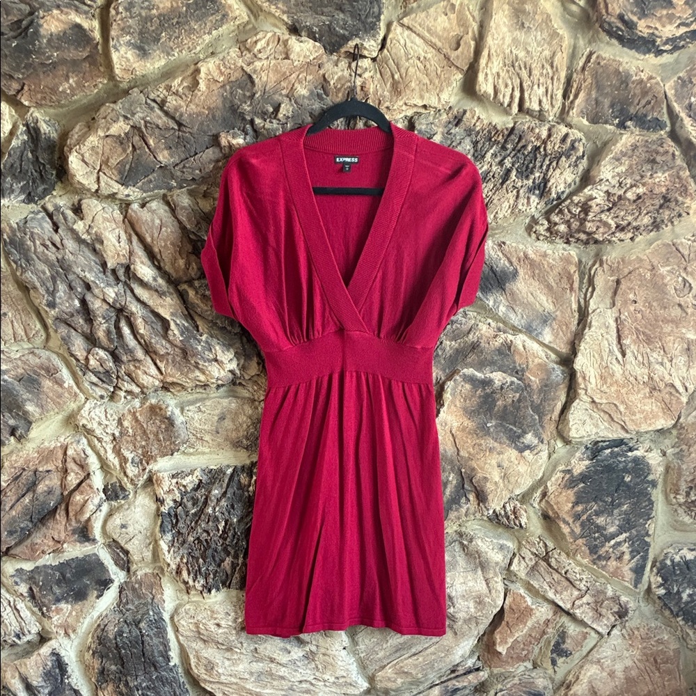 Express Deep Red Knit Dress